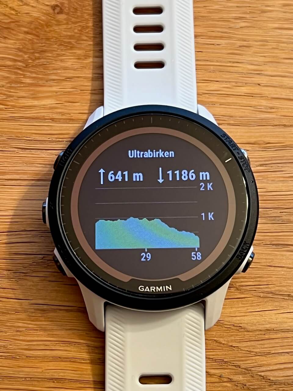 Garmin Forerunner 955 Solar