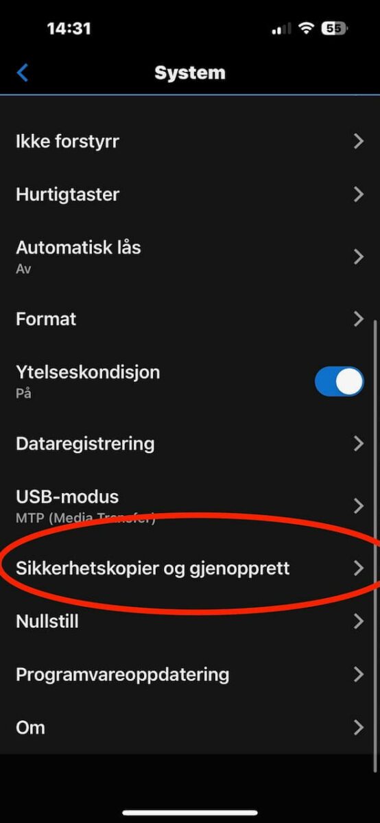 Garmin sikkerhetskopi og gjenoppretting