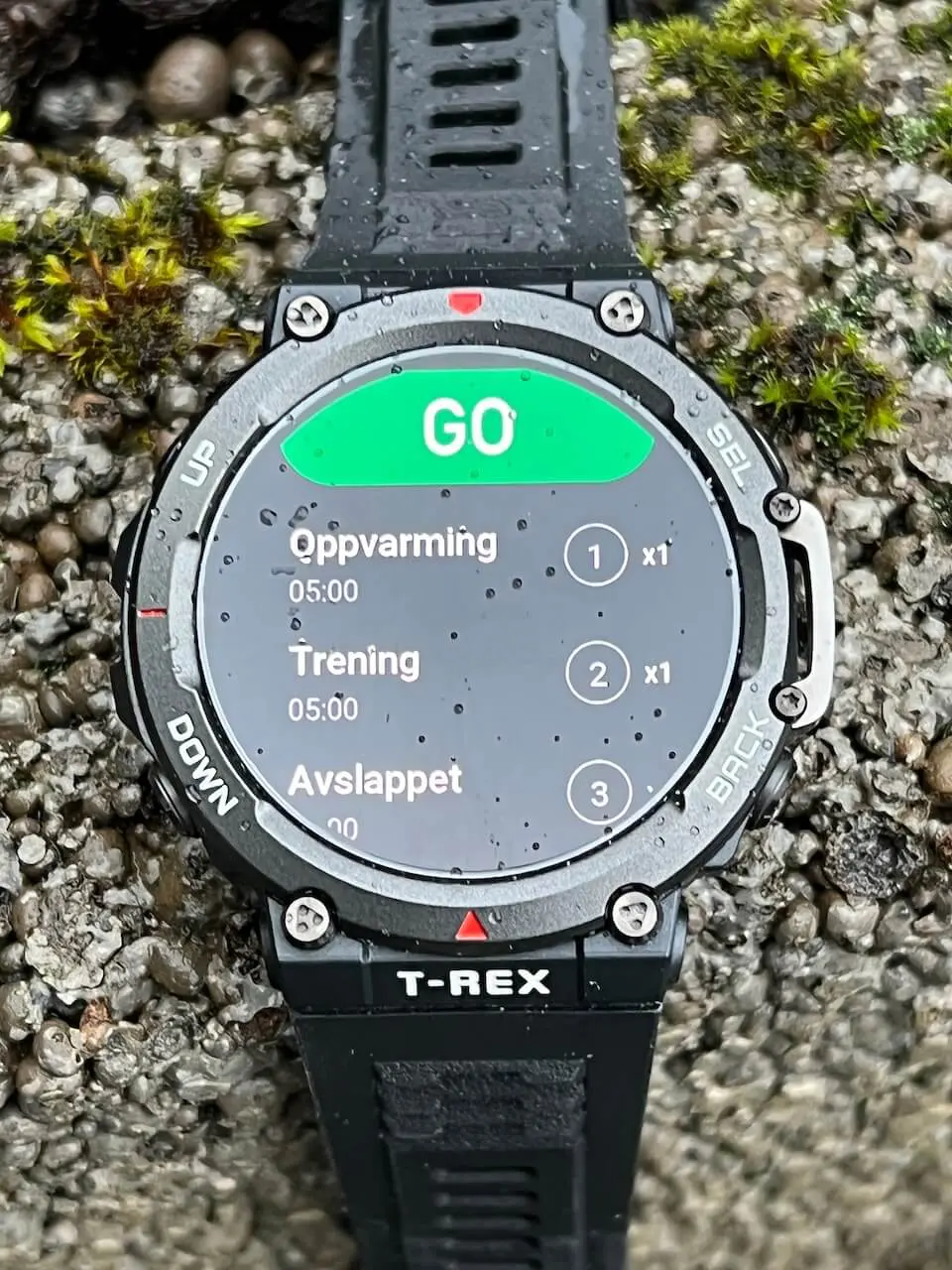 smartklokke test