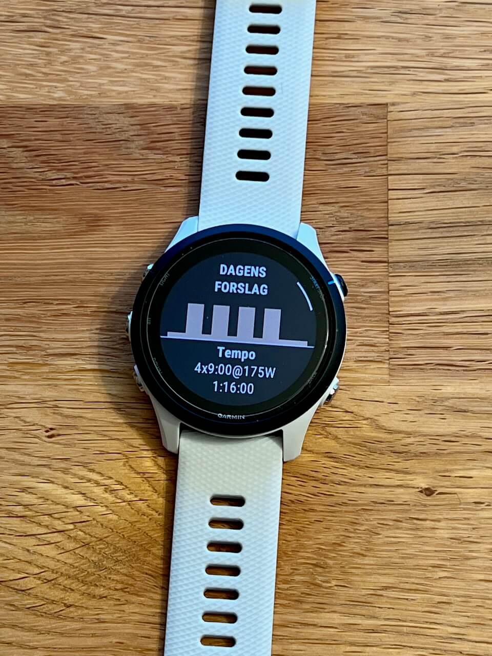 Garmin Forerunner 255 Music