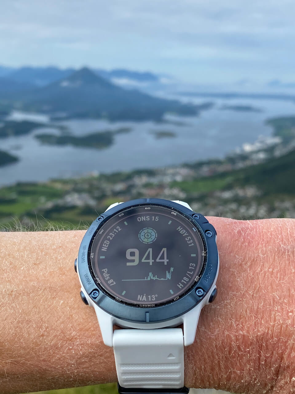 Garmin Fenix 6 Pro