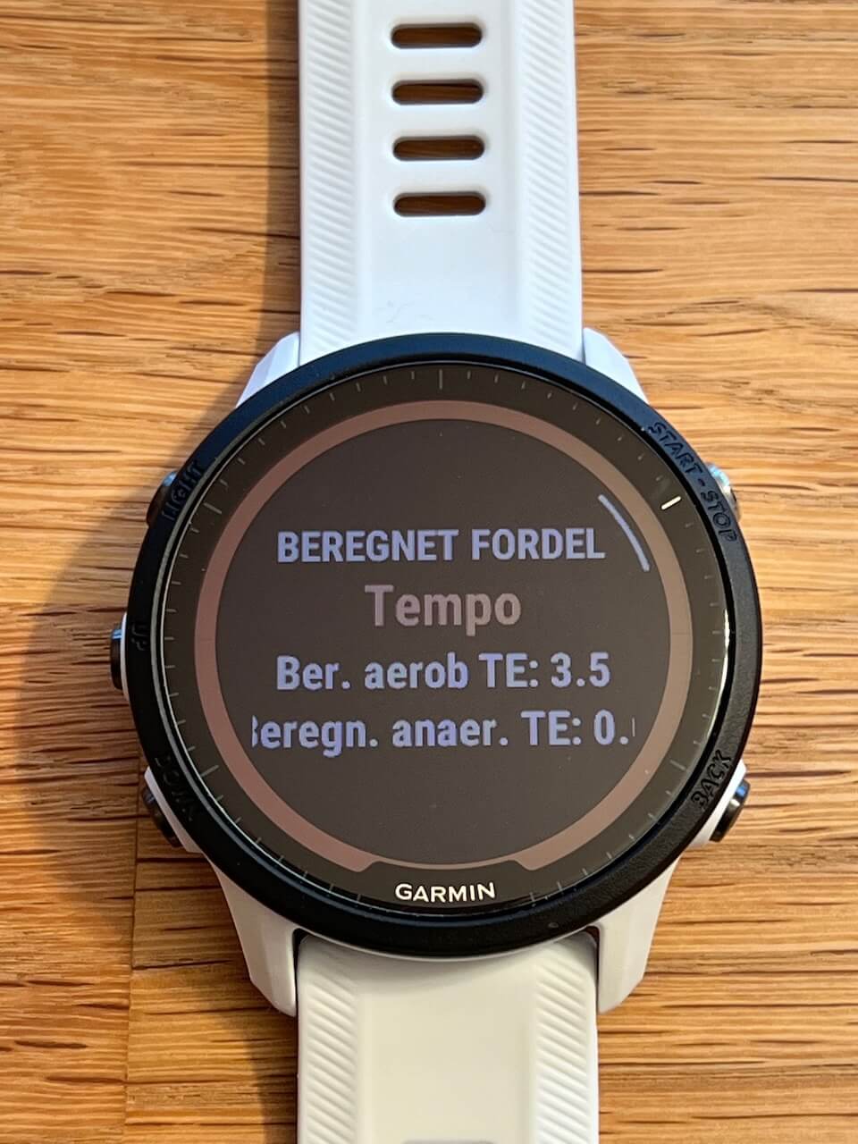 Garmin Forerunner 955 Solar