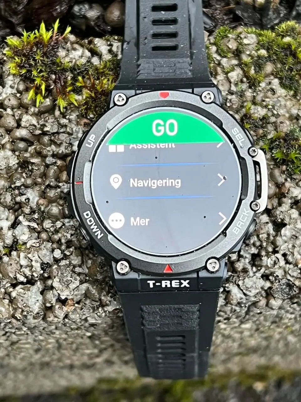 Amazfit T-Rex 2