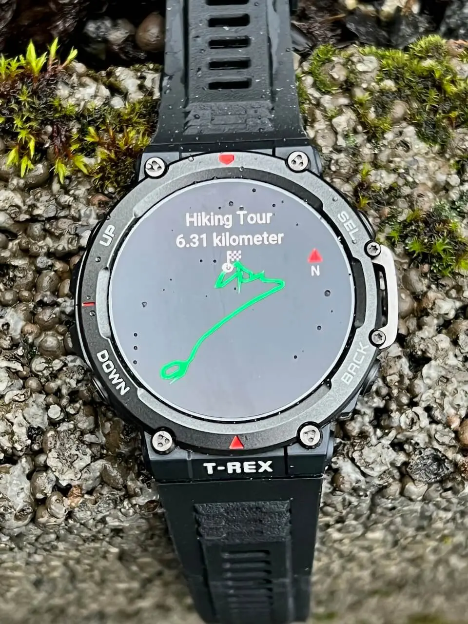 Amazfit T-Rex 2