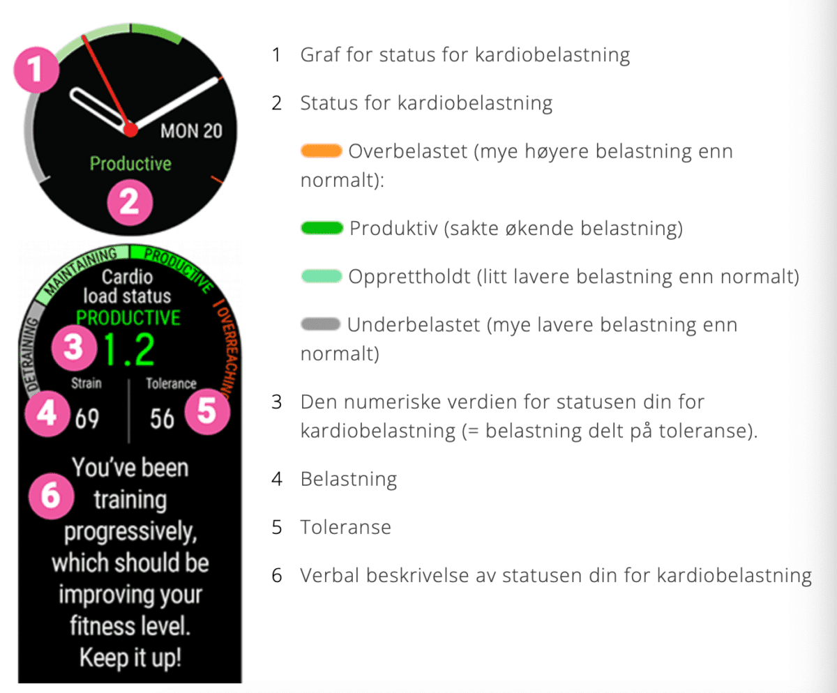 Polar - Status for treningsbelastning/ kardiobelastning