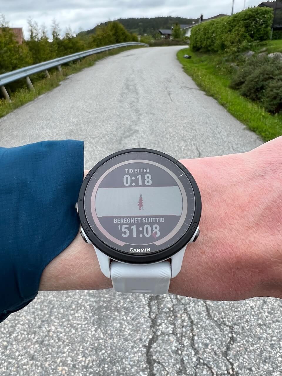 Garmin Forerunner 955 Solar