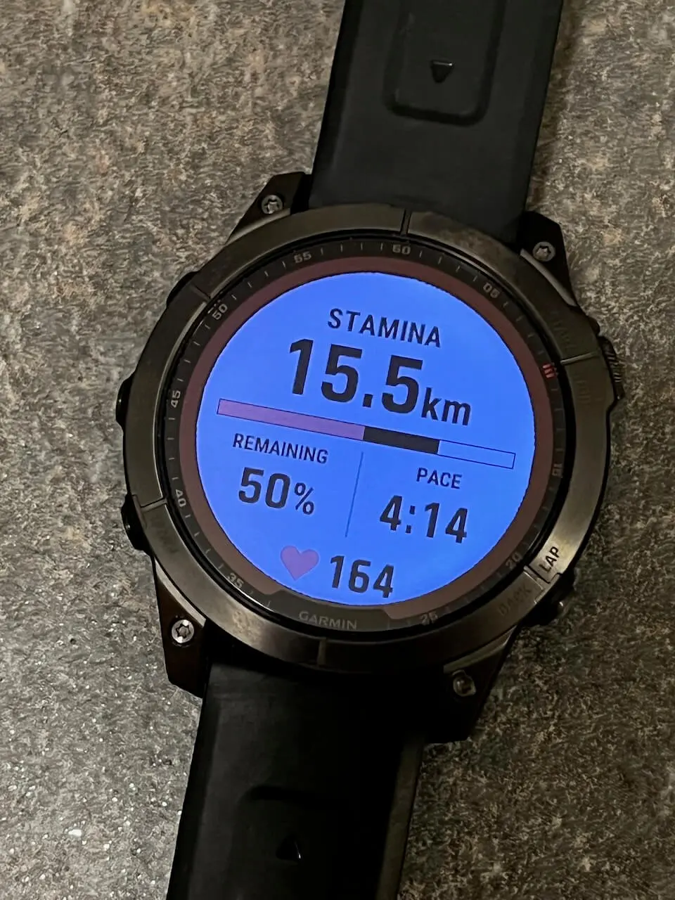 Garmin Fenix 7