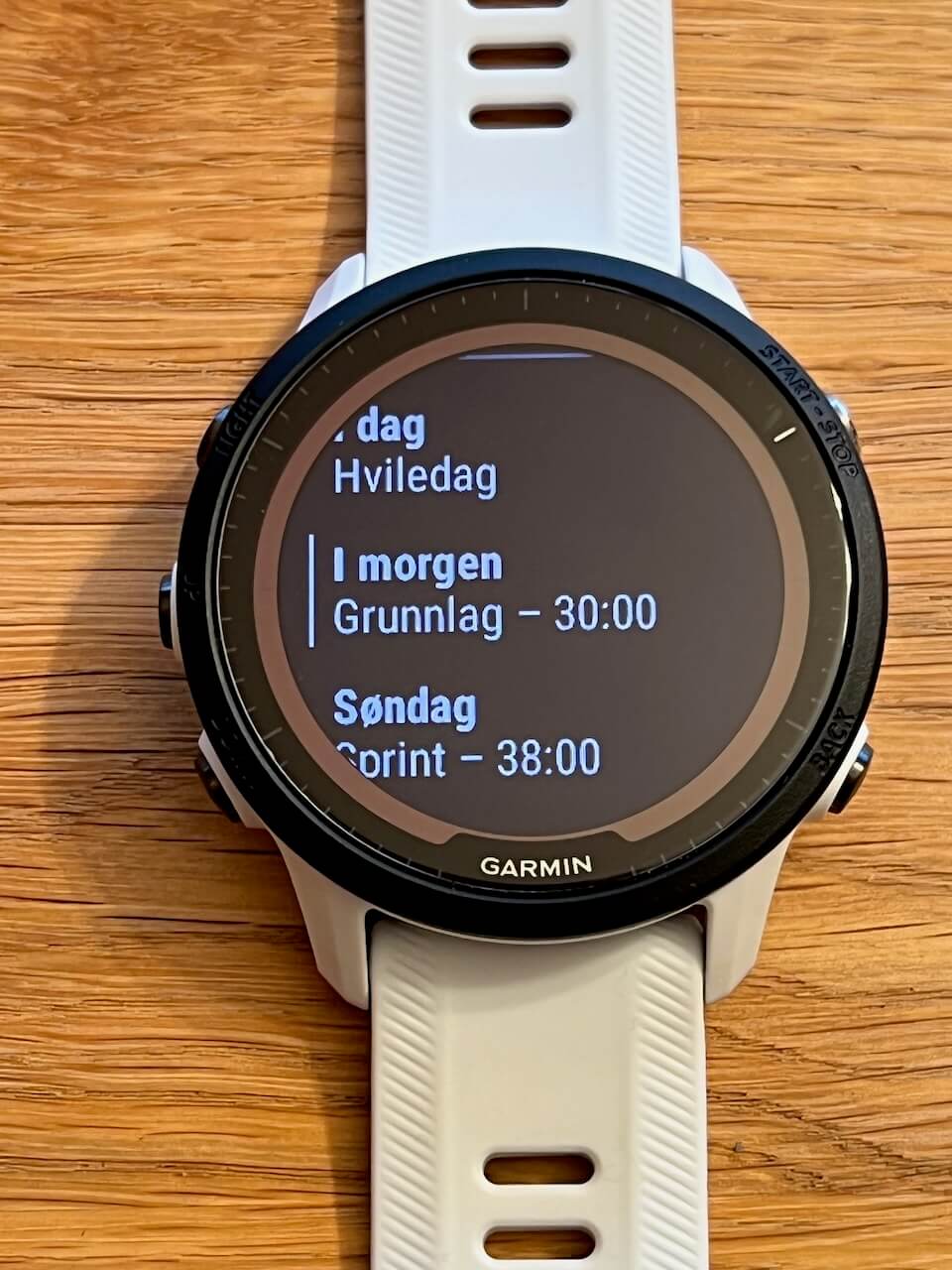 Garmin Forerunner 955 Solar