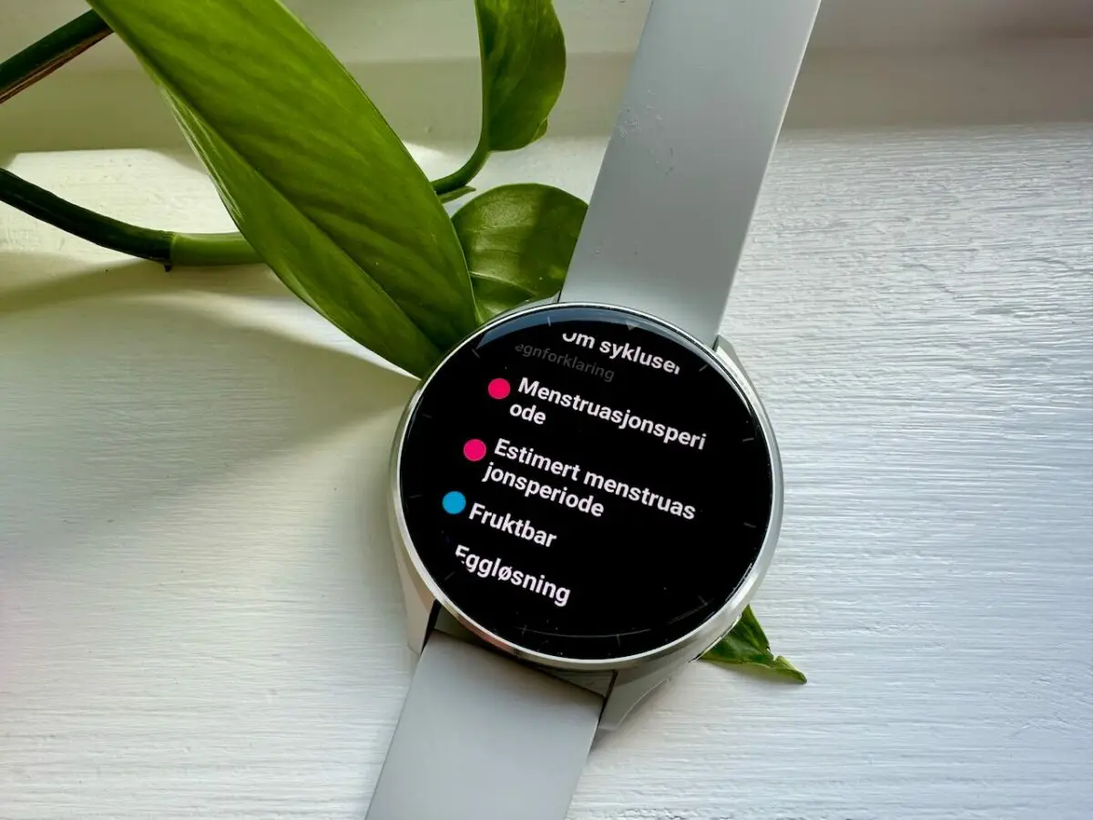 Xiaomi Watch 2