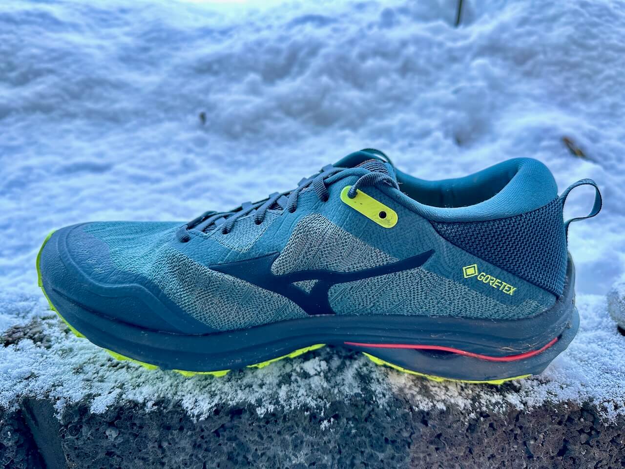 Mizuno Wave Rider GTX