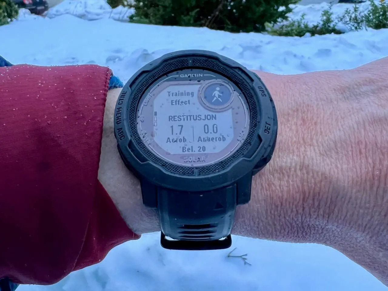 Garmin Instinct 2