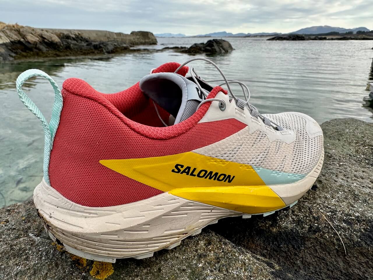 Salomon Sense Ride 5