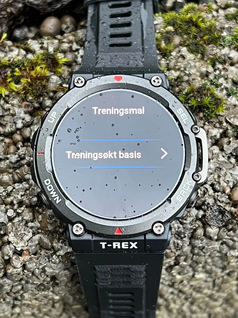 smartklokke test