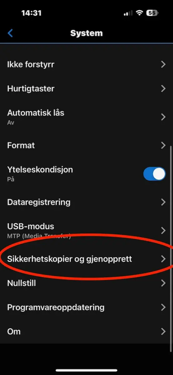 Garmin sikkerhetskopi og gjenoppretting