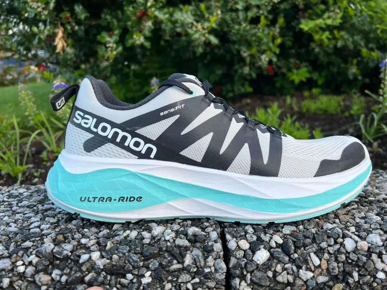 Salomon Glide Max