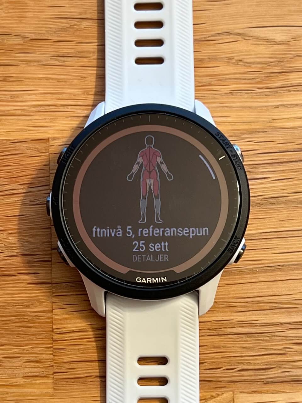 Garmin Forerunner 955 Solar