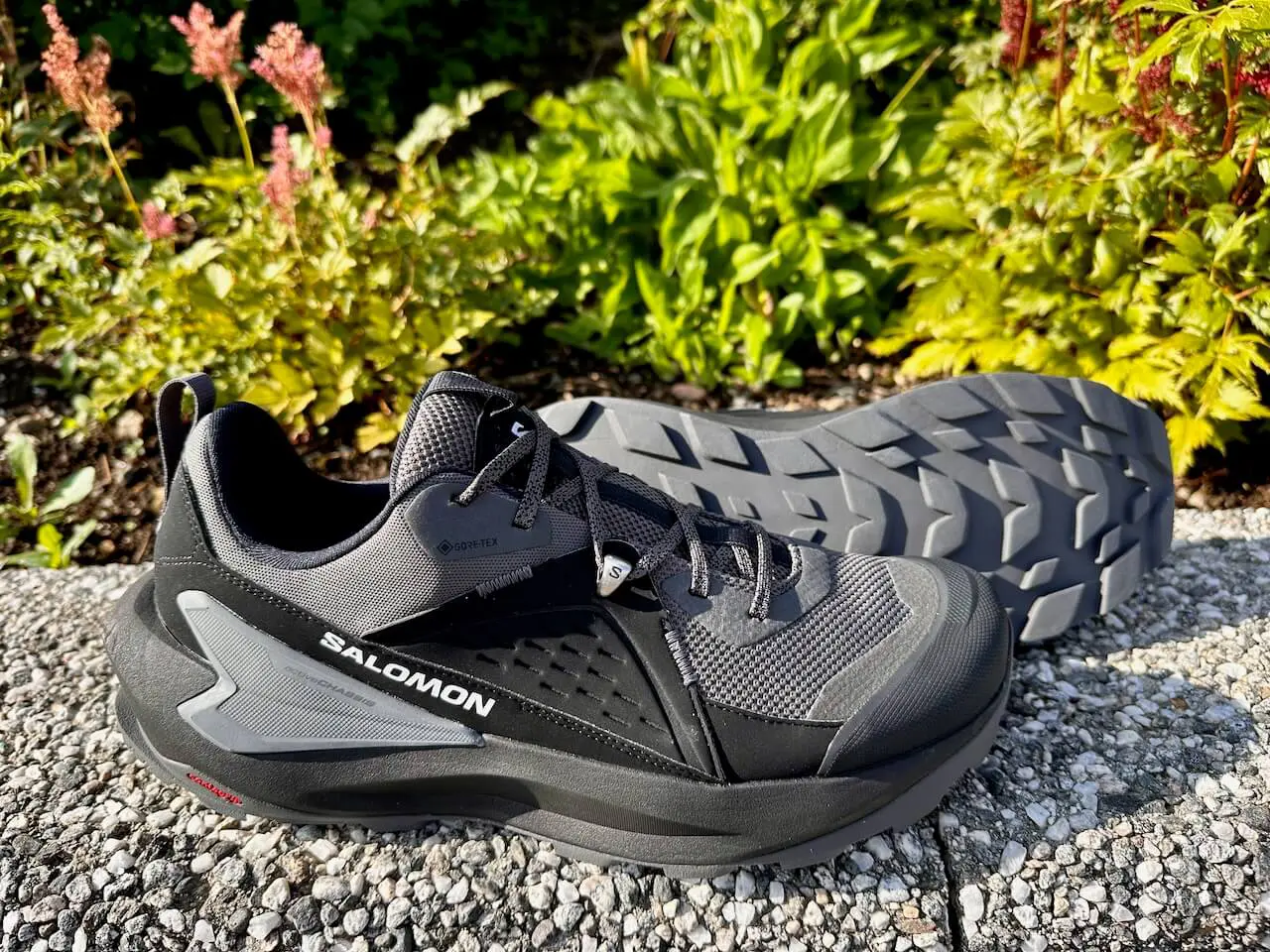 Salomon Elixir GORE-TEX