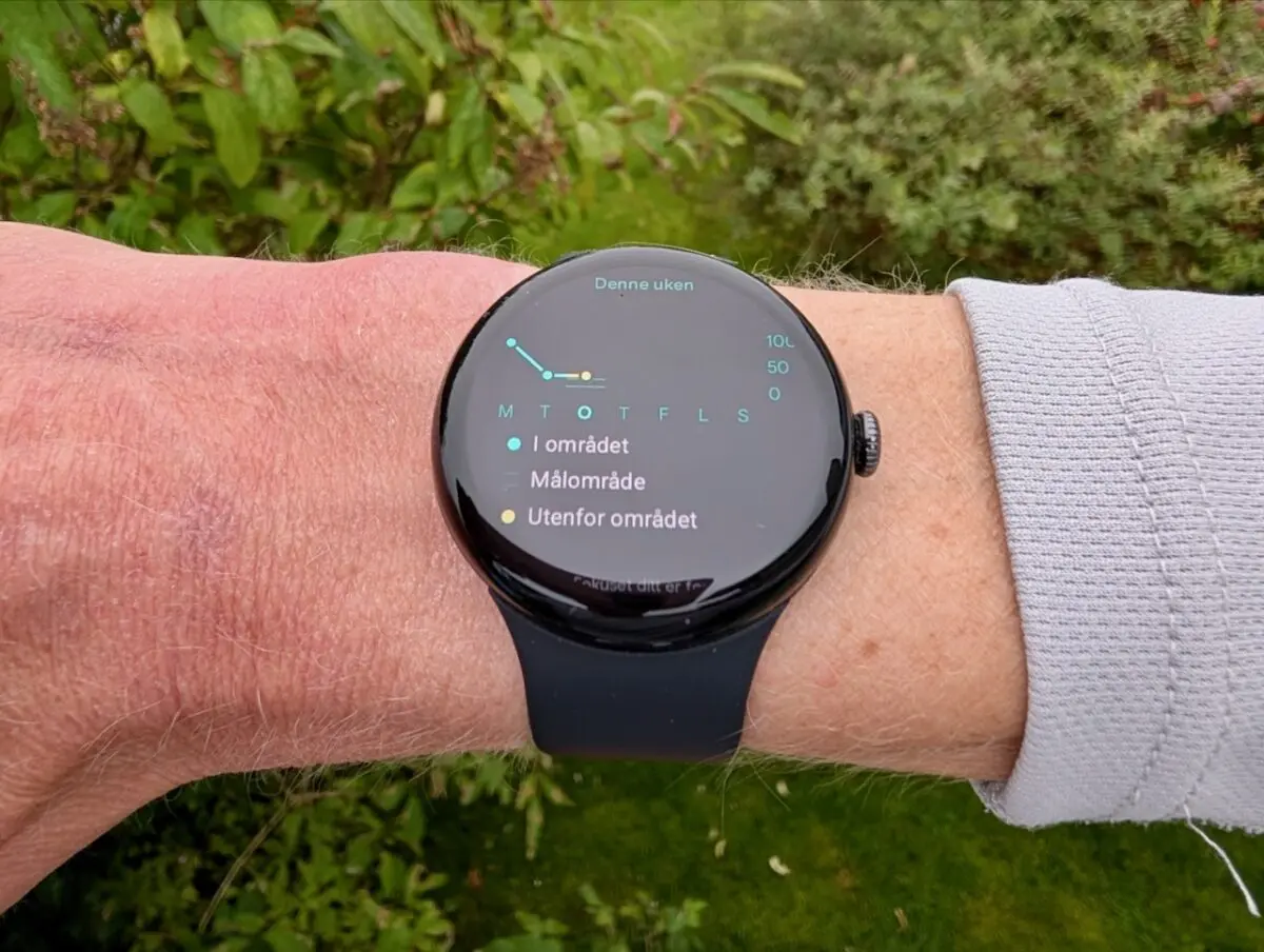 Google Pixel Watch 3