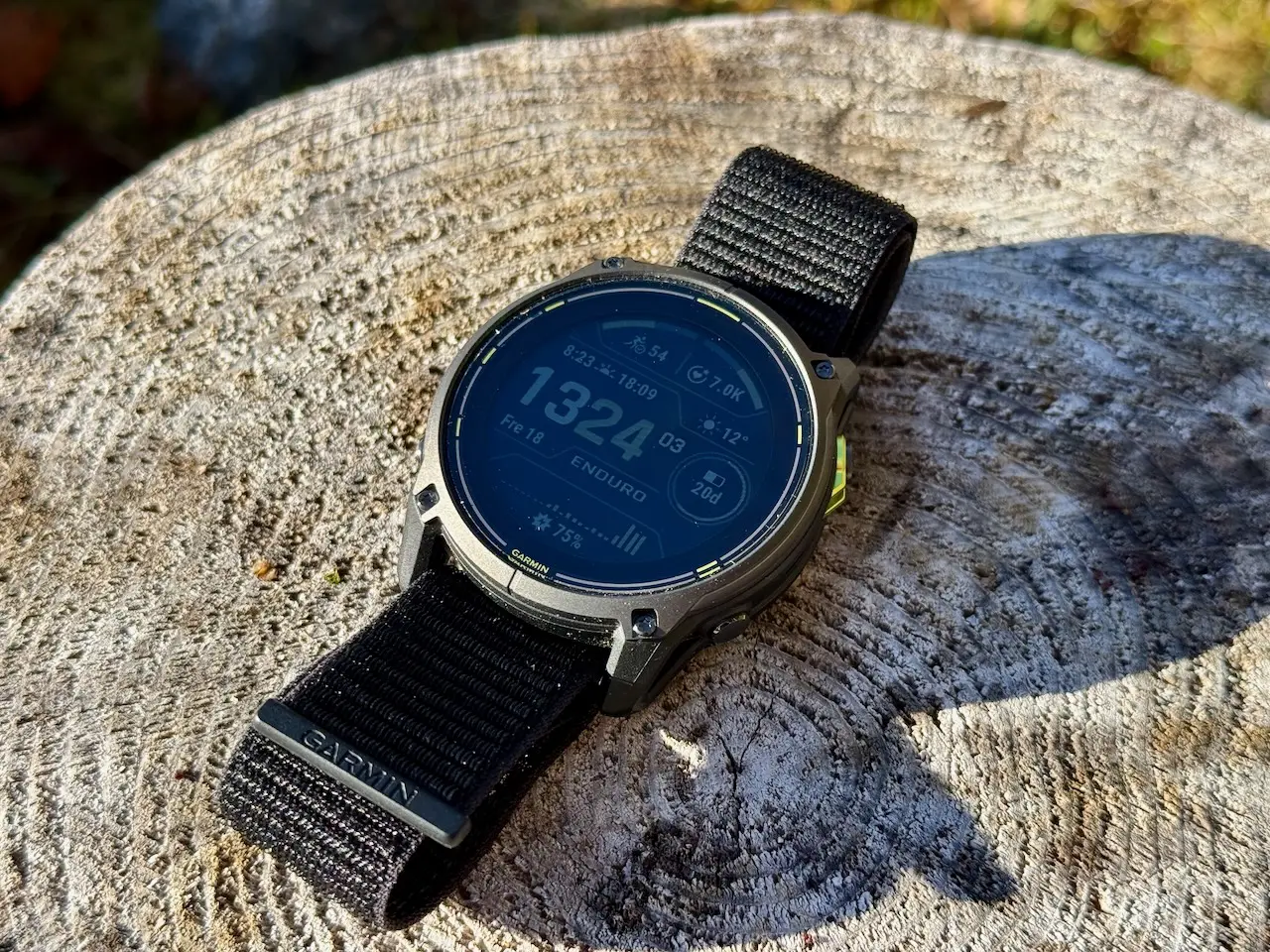 Garmin Enduro 3