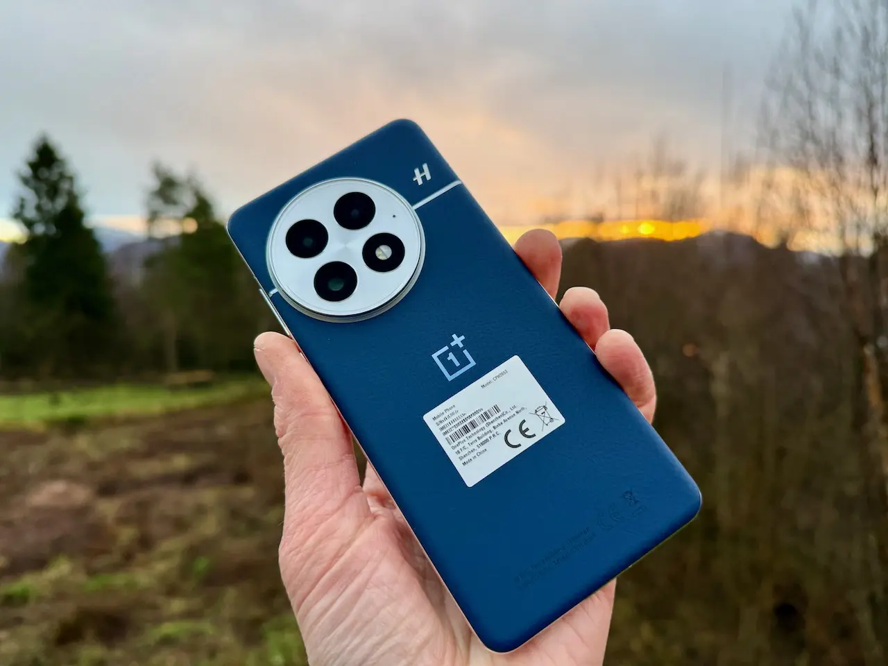 OnePlus 13