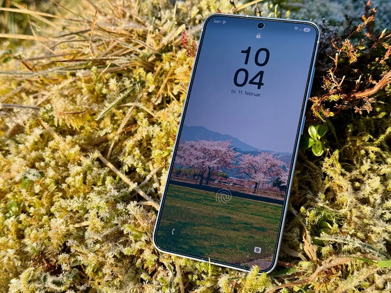 Samsung Galaxy S25