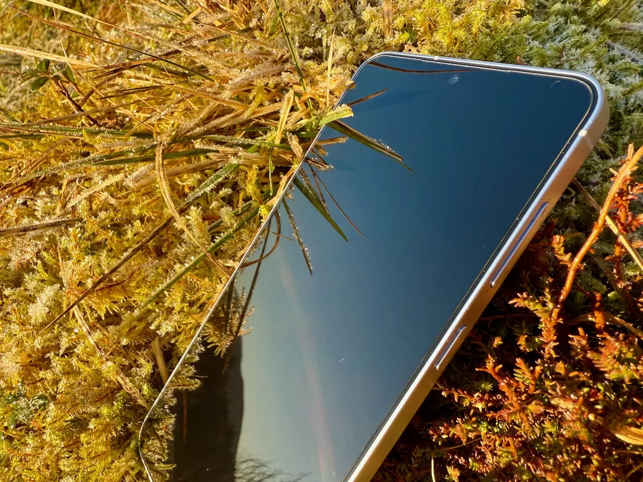 Samsung Galaxy S25
