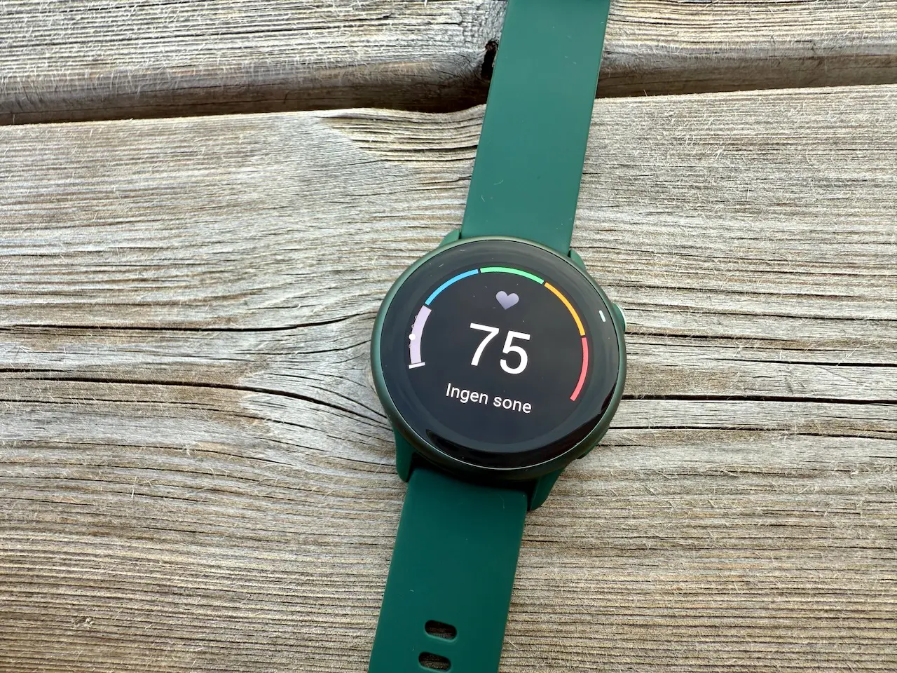 Garmin Vivoactive 6