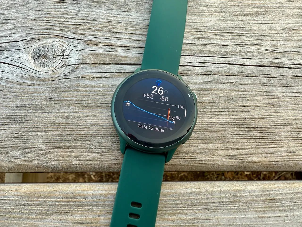 Garmin Vivoactive 6