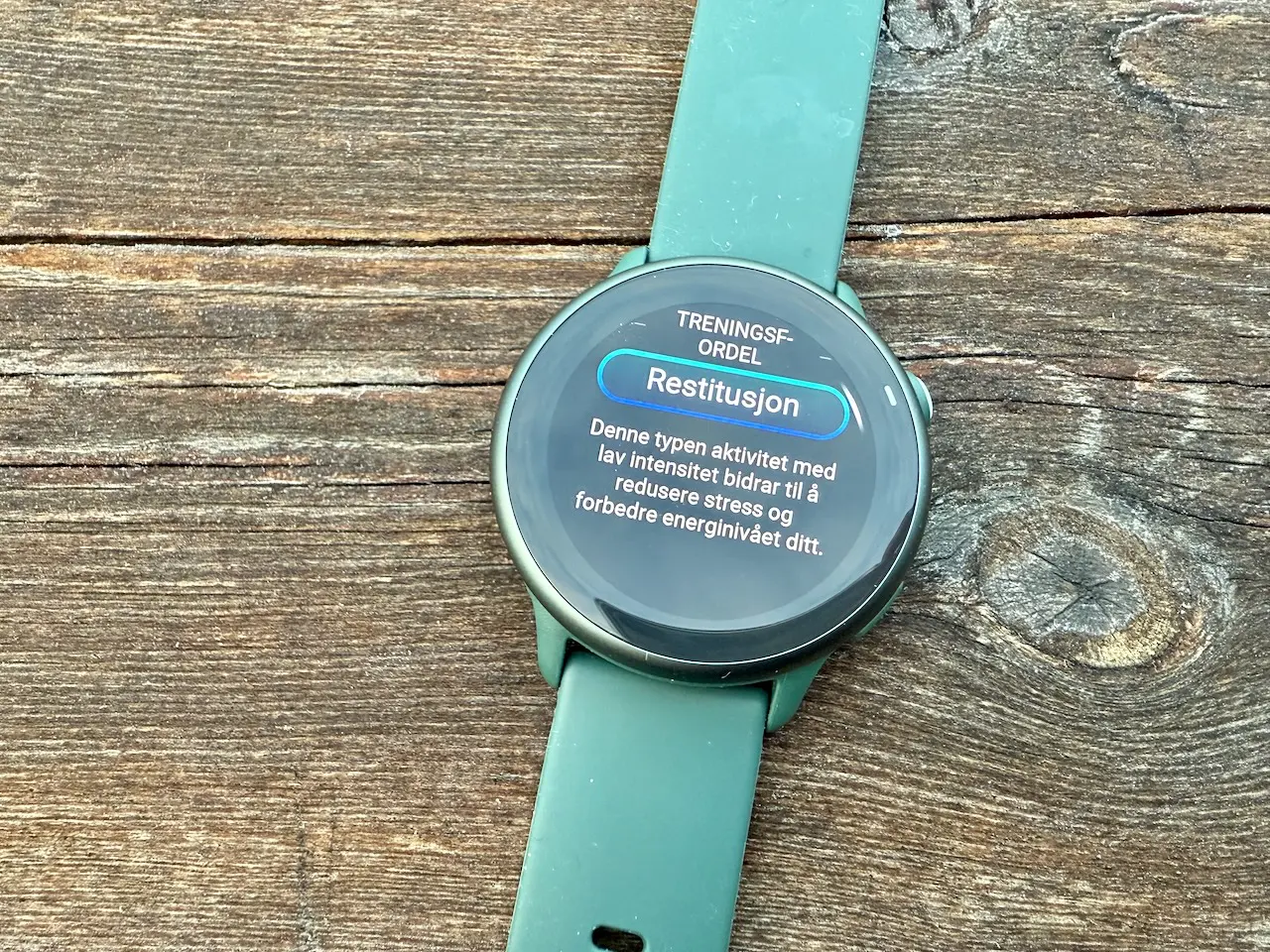 Garmin Vivoactive 6