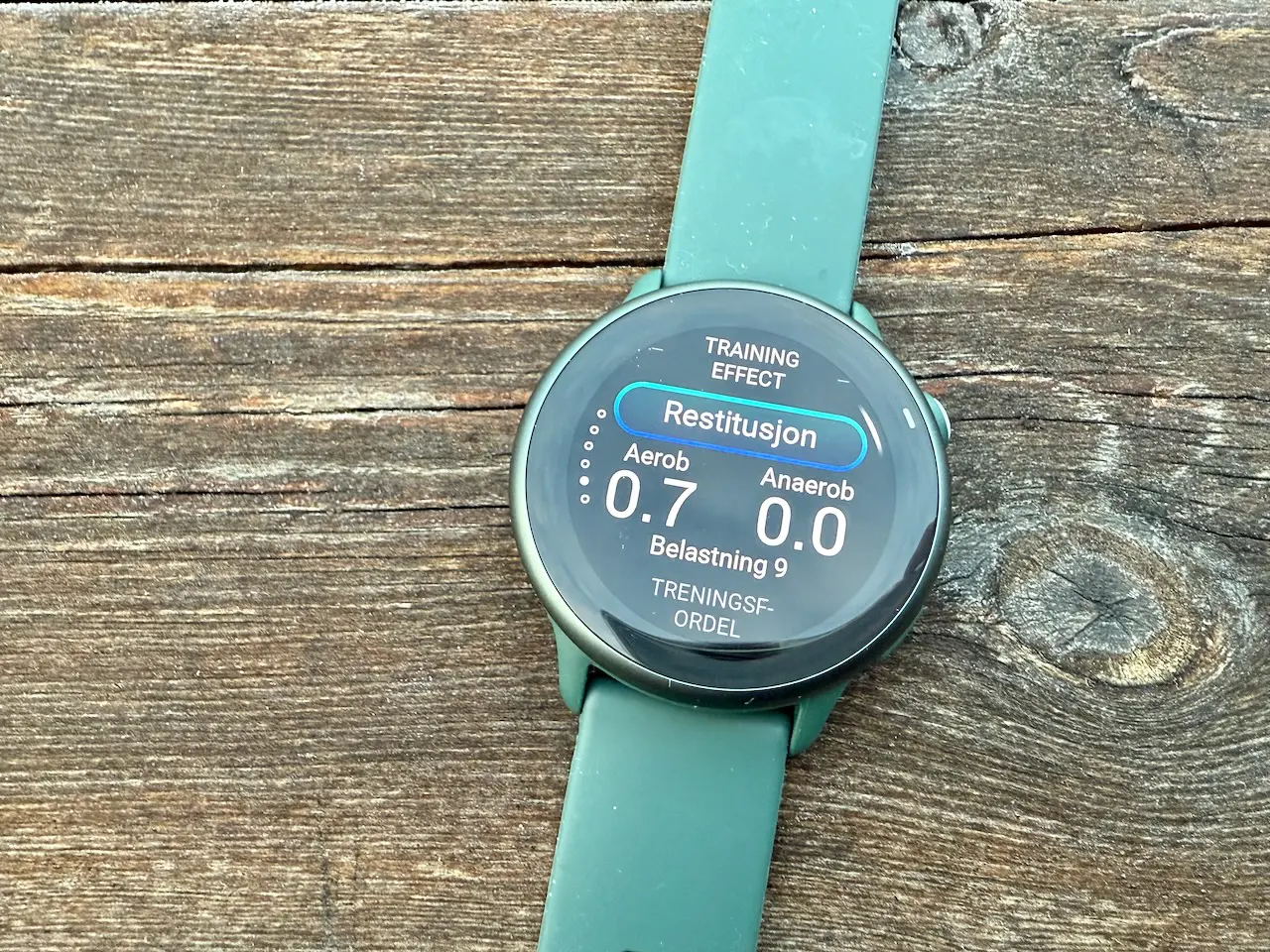 Garmin Vivoactive 6