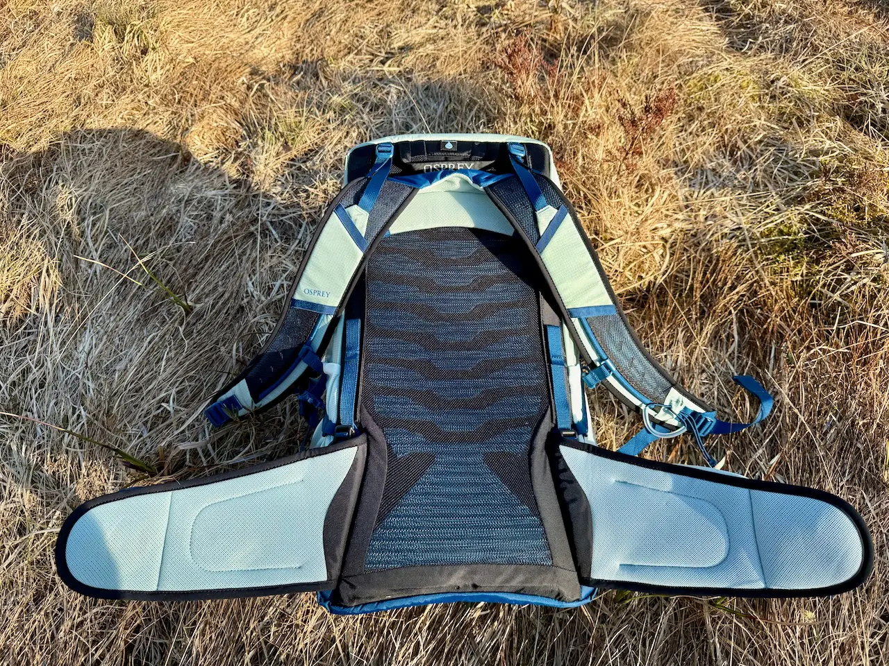 Osprey Talon 22