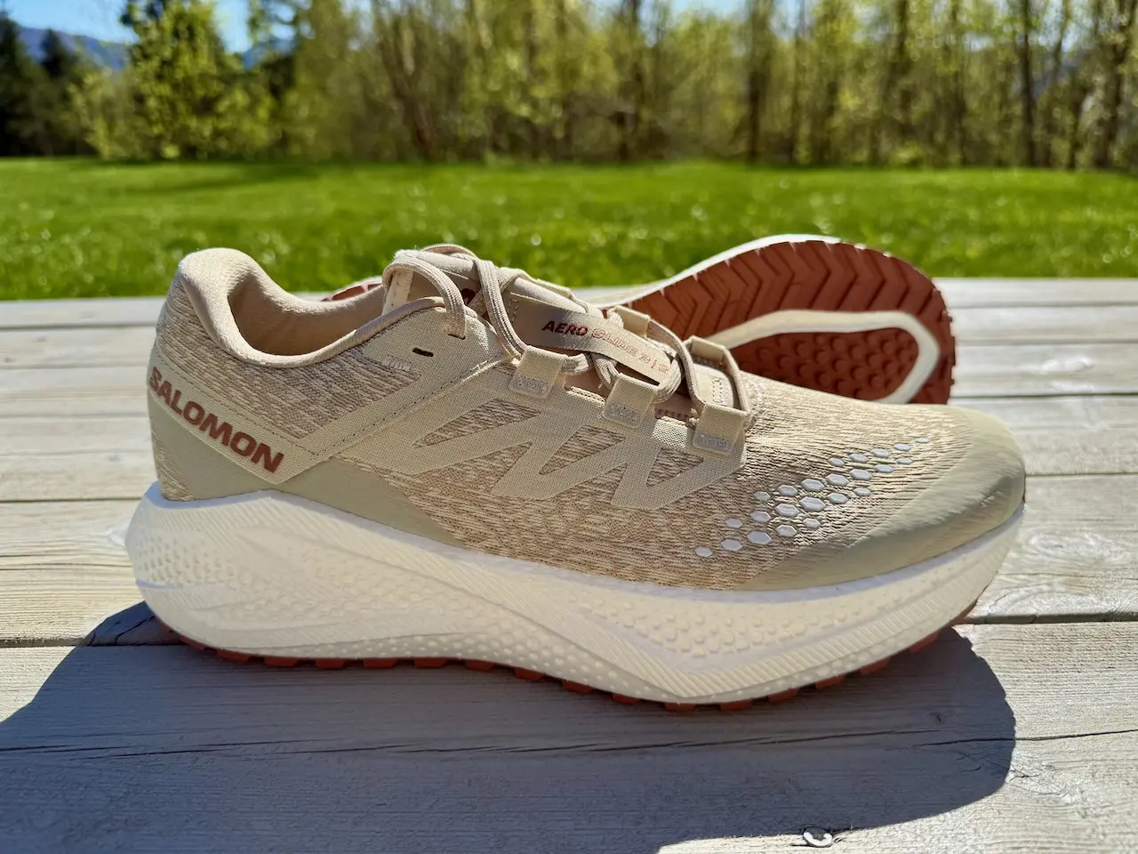 Salomon Aero Glide 3 GRVL