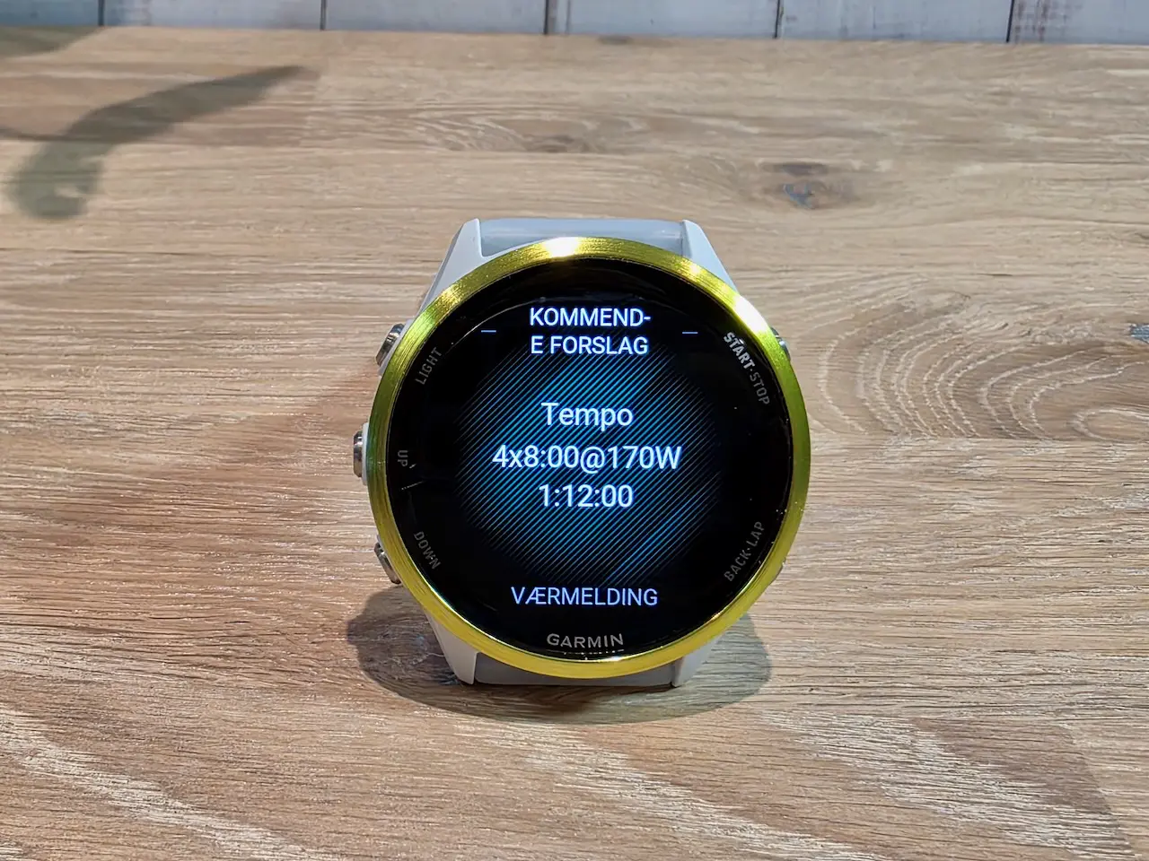 Garmin Forerunner 570