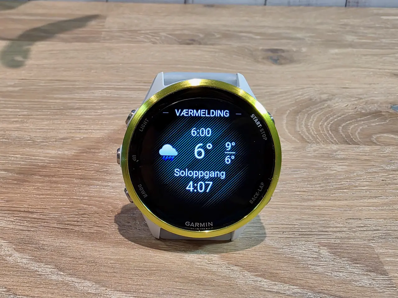 Garmin Forerunner 570