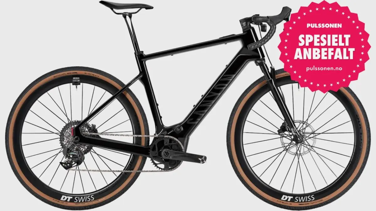 Canyon Grizl:ONfly CF 9