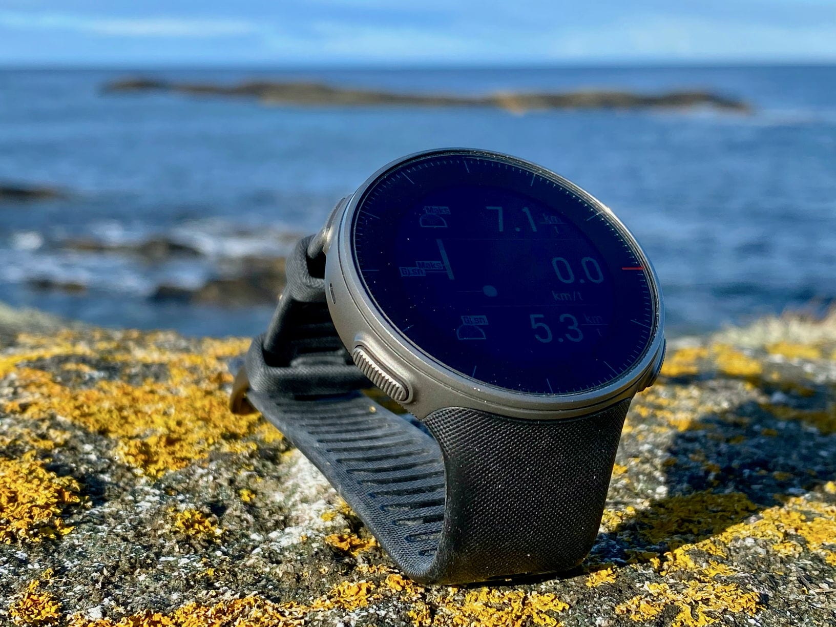 Polar Vantage V