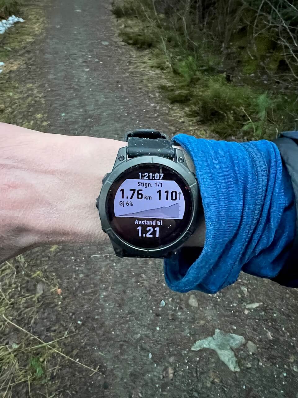 Garmin Fenix 7X