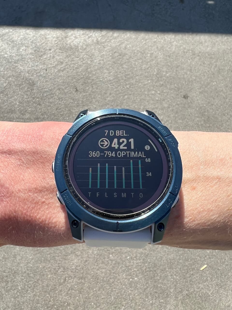 Garmin Fenix 7X