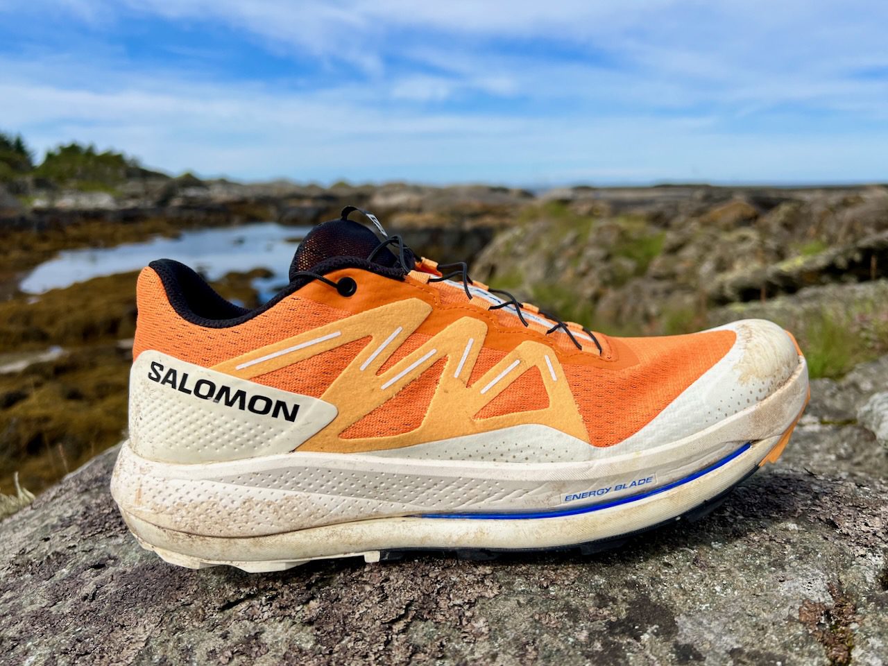 Featured image for “Test: Salomon Pulsar Trail / Salomon Pulsar Trail GORE-TEX”