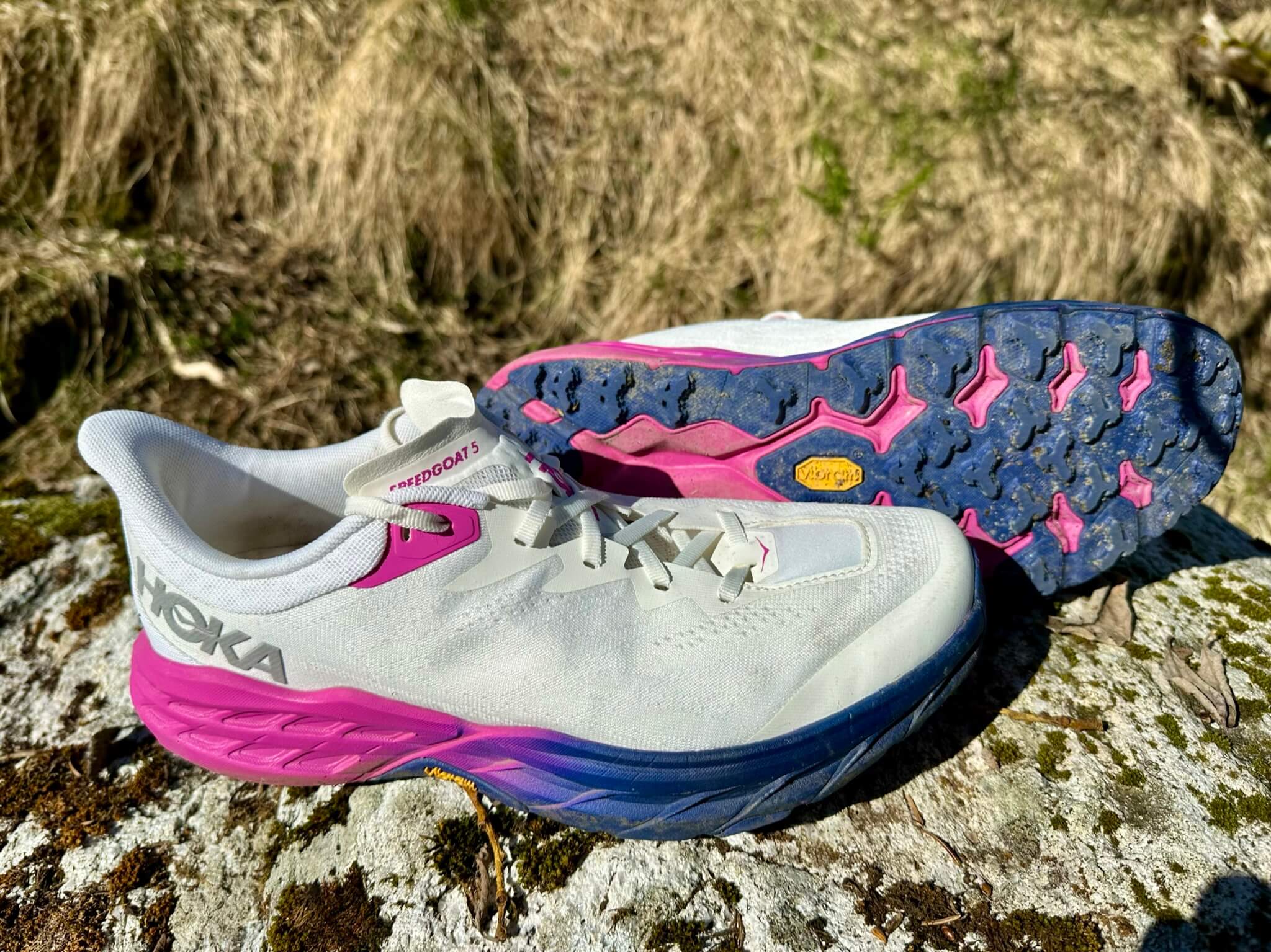 Featured image for “Test: HOKA Speedgoat 5”