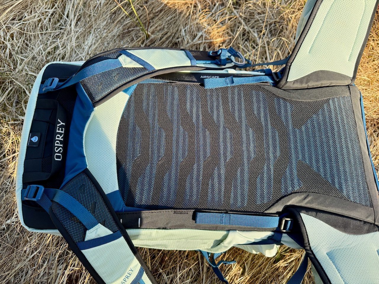 Osprey Talon 22
